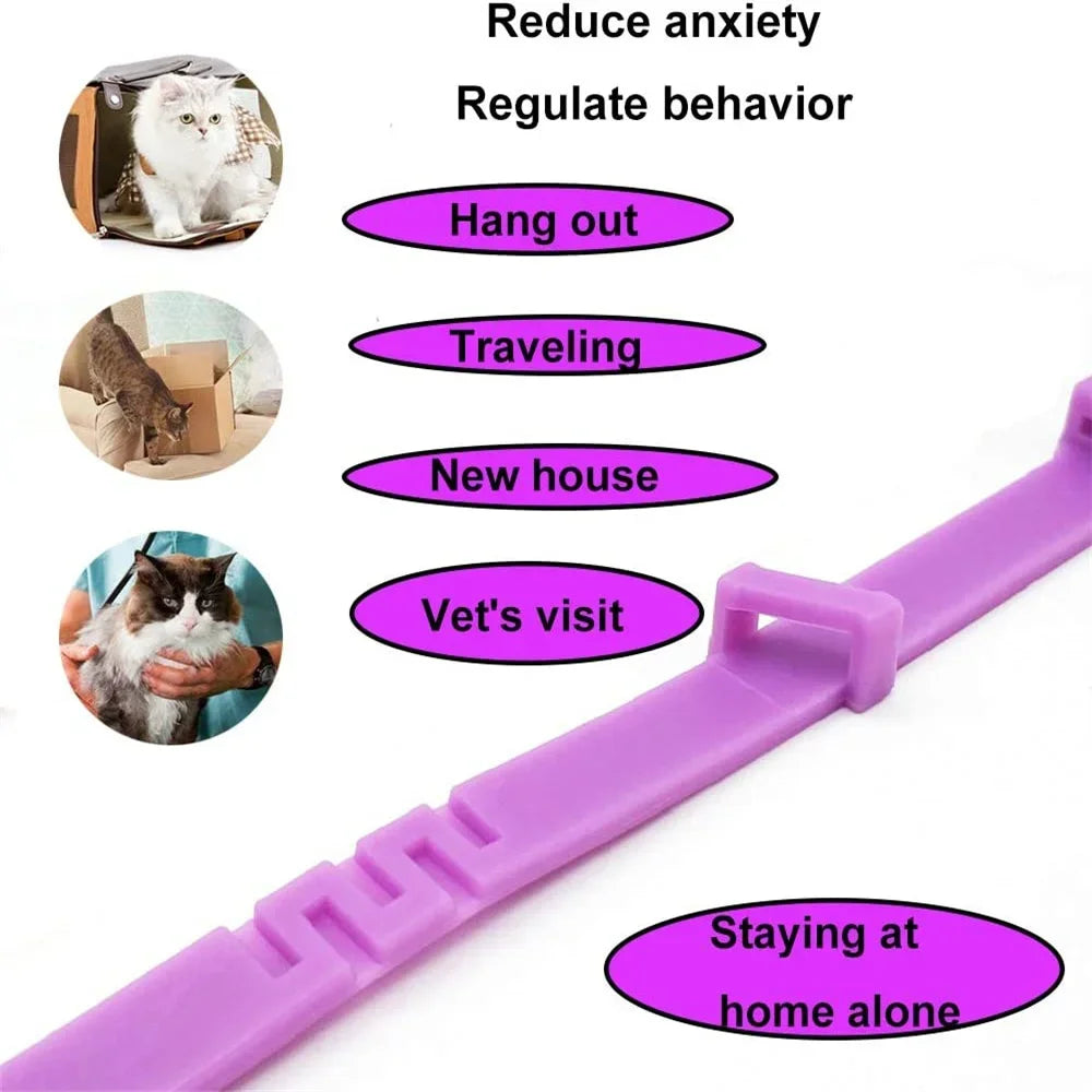 ArticPaws Calming Collar